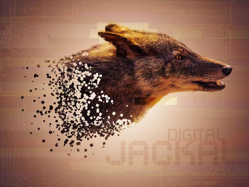 Error as Intention: How Broken Screens Became the New Manifesto